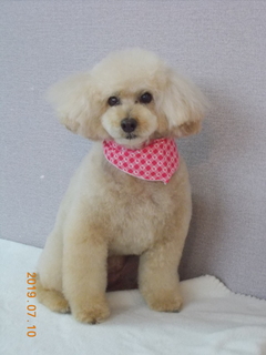 상O (40).JPG